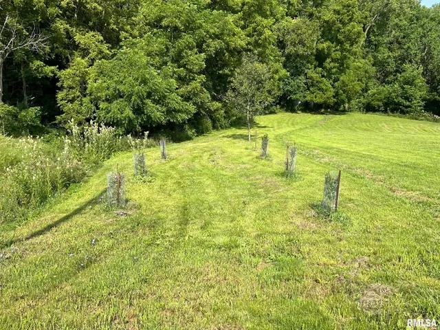 $85,000 | 2012 County Road 600 North, Secor, IL 61771