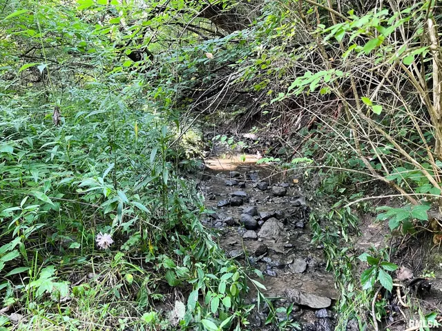 $85,000 | 2012 County Road 600 North, Secor, IL 61771