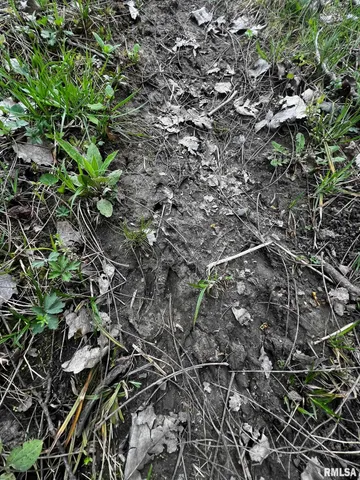 $85,000 | 2012 County Road 600 North, Secor, IL 61771