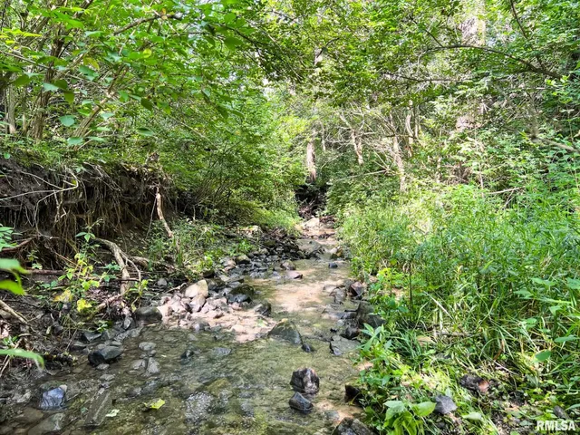 $85,000 | 2012 County Road 600 North, Secor, IL 61771