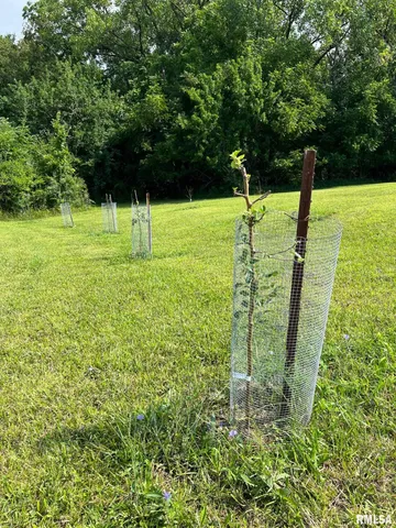 $85,000 | 2012 County Road 600 North, Secor, IL 61771