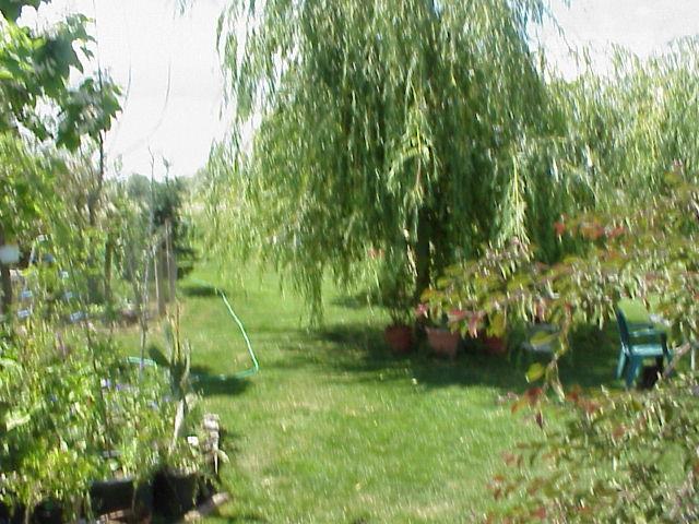 931 Lester Road South Outlook, WA 98938 - Photo 6 of 8 a view of a garden