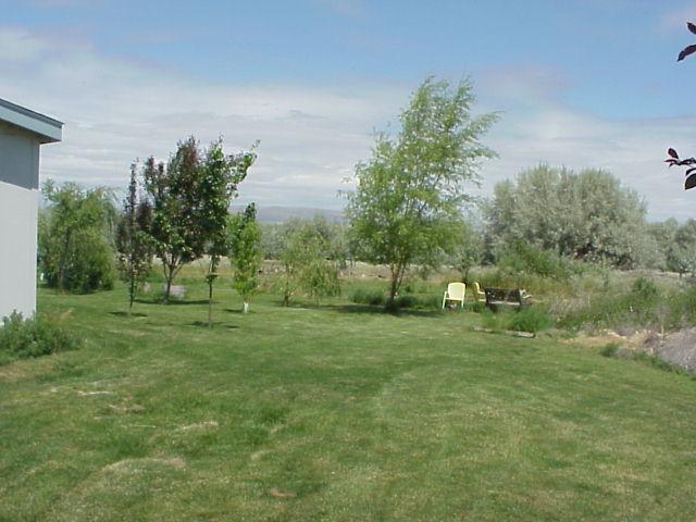 931 Lester Road South Outlook, WA 98938 - Photo 7 of 8 a big yard with lots of green space and plants