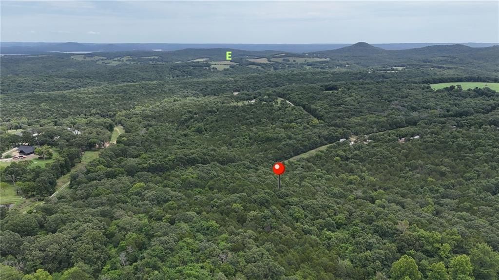 0 Rocky Rd Lane Shell Knob, MO 65747 - Photo 4 of 17