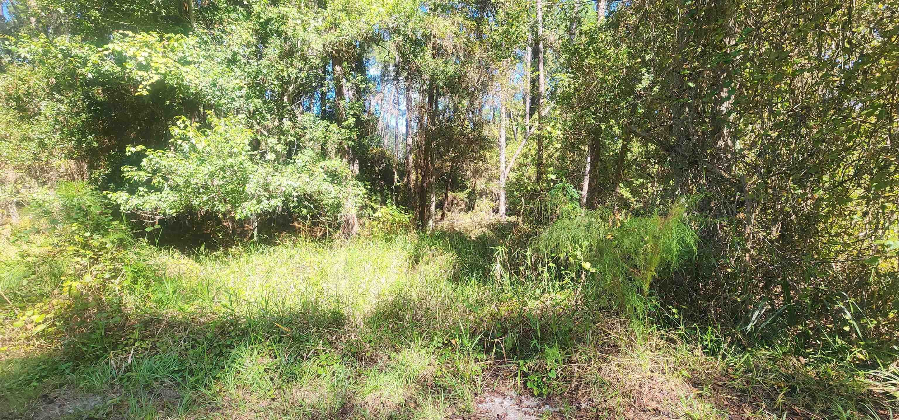 a view of a lake view