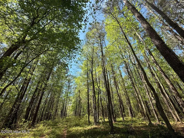 $84,900 | Lot 5 Mixon Creek Drive, Bath, NC 27808