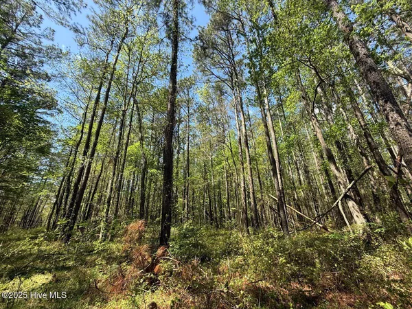 $79,900 | Lot 5 Mixon Creek Drive, Bath, NC 27808