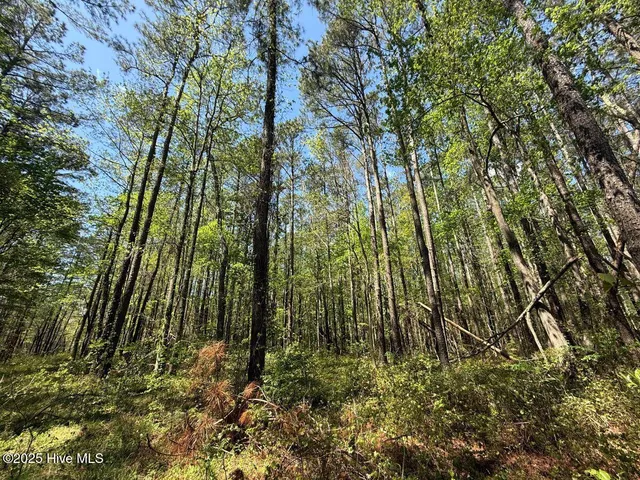 $84,900 | Lot 5 Mixon Creek Drive, Bath, NC 27808