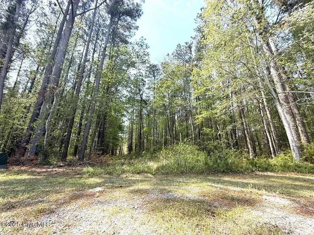 $84,900 | Lot 5 Mixon Creek Drive, Bath, NC 27808