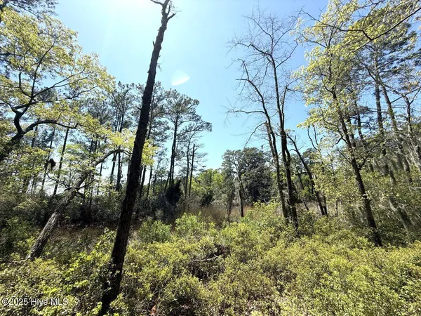 $79,900 | Lot 5 Mixon Creek Drive, Bath, NC 27808