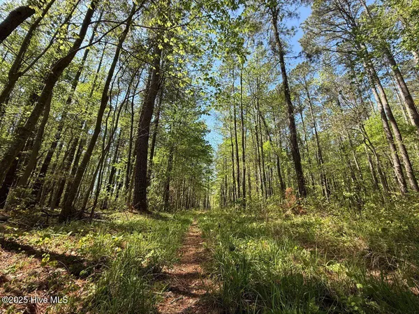 $79,900 | Lot 5 Mixon Creek Drive, Bath, NC 27808