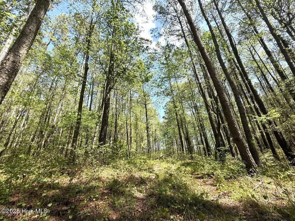 $79,900 | Lot 5 Mixon Creek Drive, Bath, NC 27808