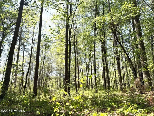 $79,900 | Lot 5 Mixon Creek Drive, Bath, NC 27808