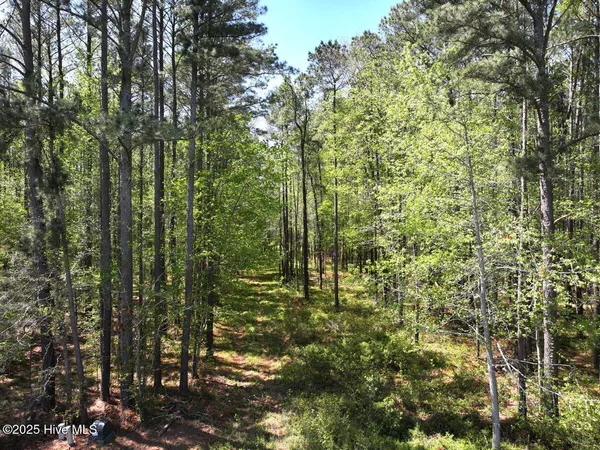 $79,900 | Lot 5 Mixon Creek Drive, Bath, NC 27808