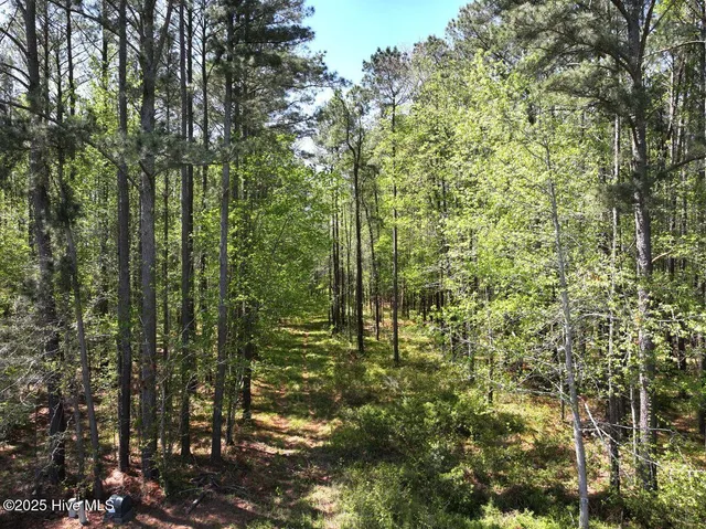 $84,900 | Lot 5 Mixon Creek Drive, Bath, NC 27808