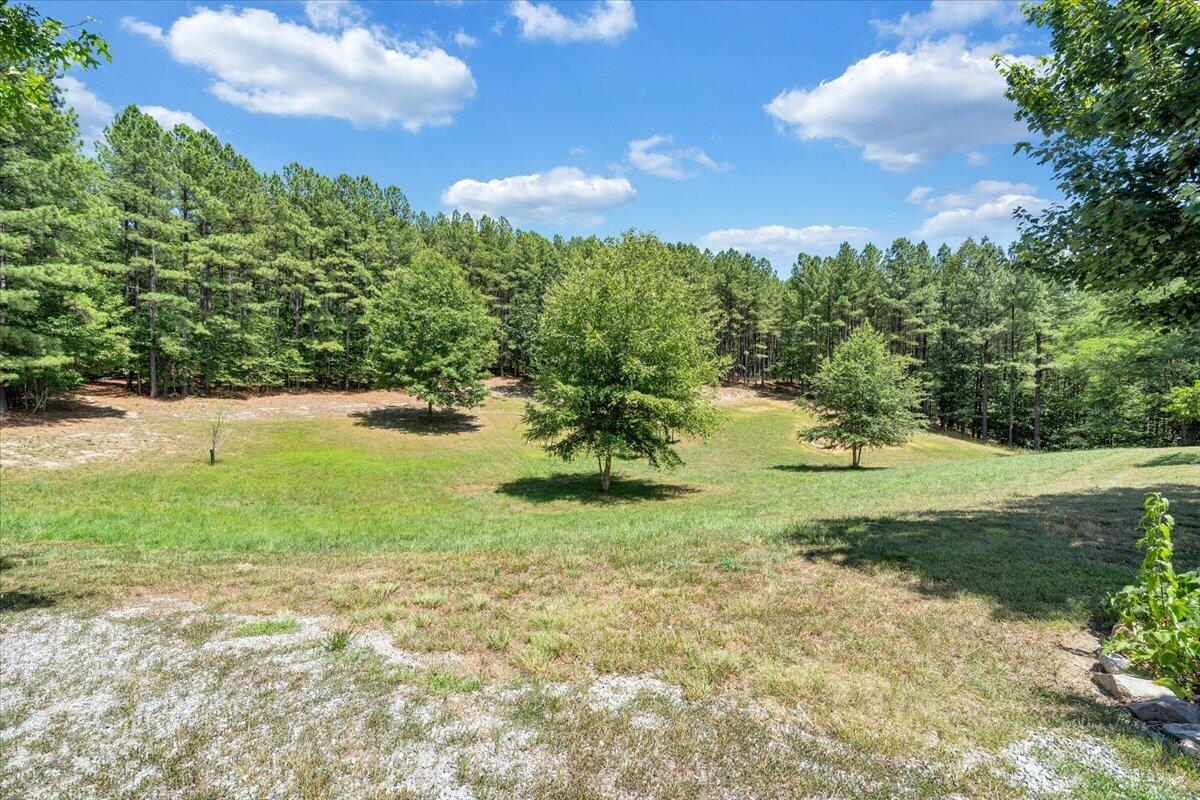 890 Blain Road Buchanan, VA 24066 - Photo 68 of 89 68-MIB03997