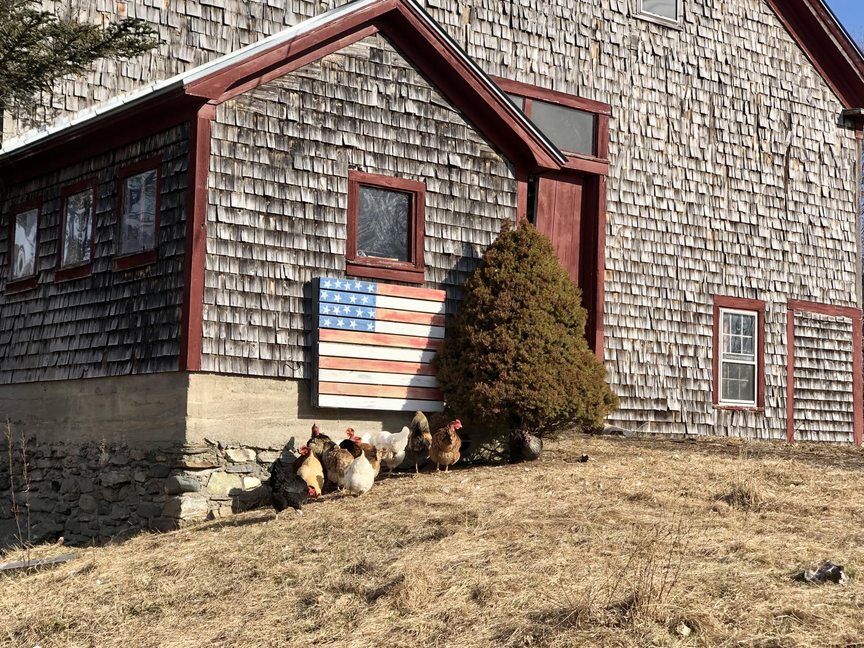 189 North Palermo Road Freedom, ME 04941 - Photo 66 of 67 037F2E65-D4E4-4CE1-8FA5-97FCC12EB524