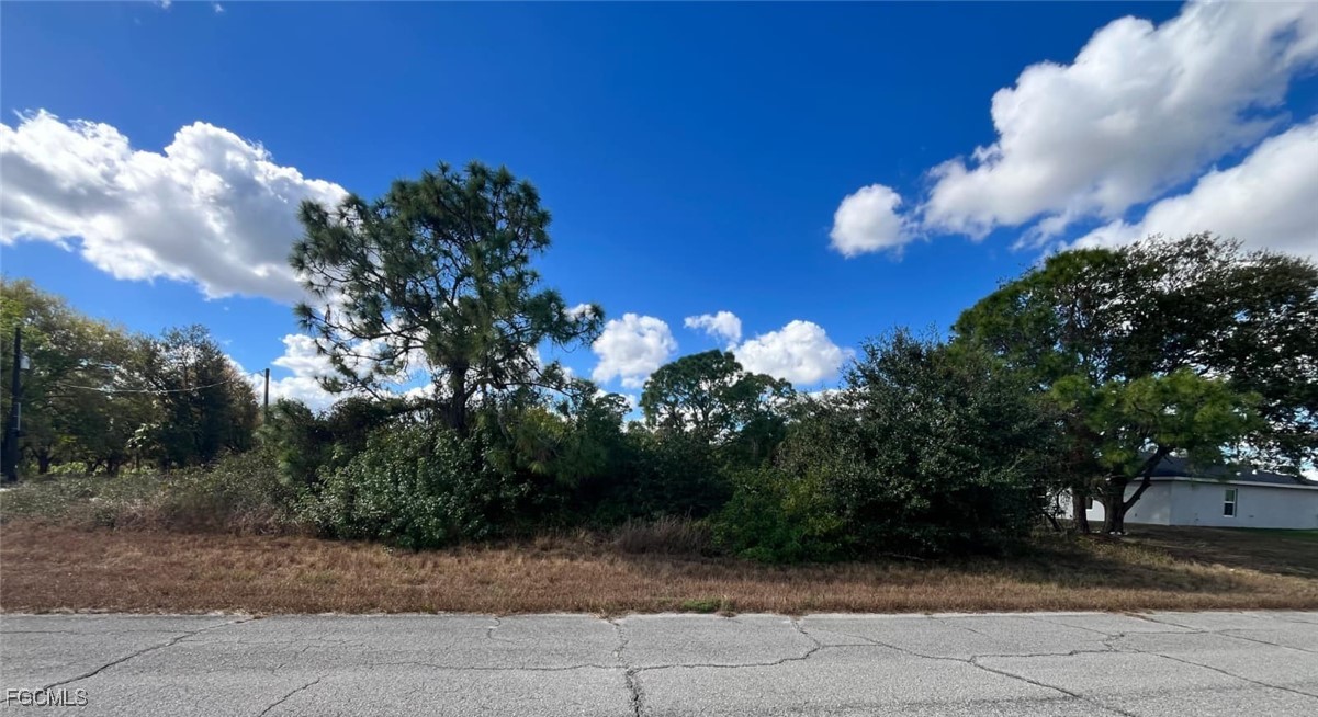 122 Pixie Avenue LaBelle, FL 33935 - Photo 4 of 9 a view of a flower in a yard
