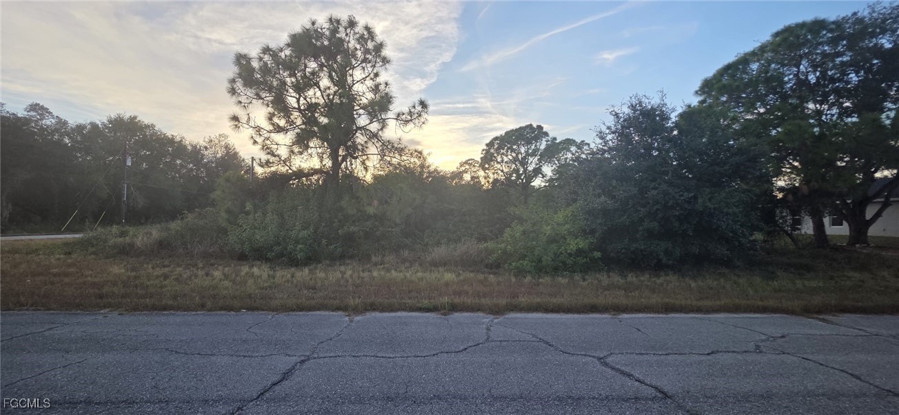122 Pixie Avenue LaBelle, FL 33935 - Photo 5 of 9 a view of outdoor space and yard