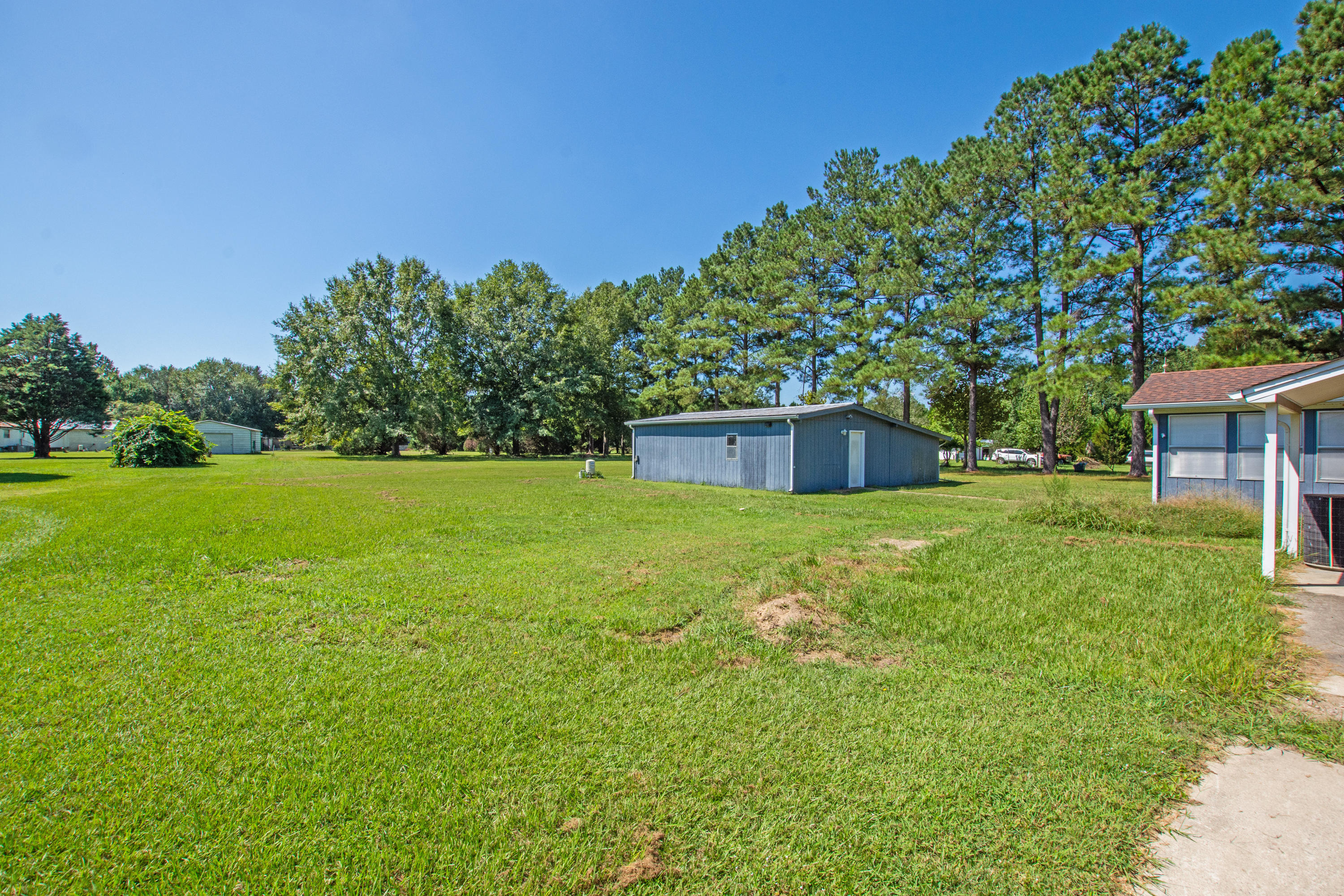 834 Van Dyke Road Cottageville, SC 29435 - Photo 6 of 26 plenty of land