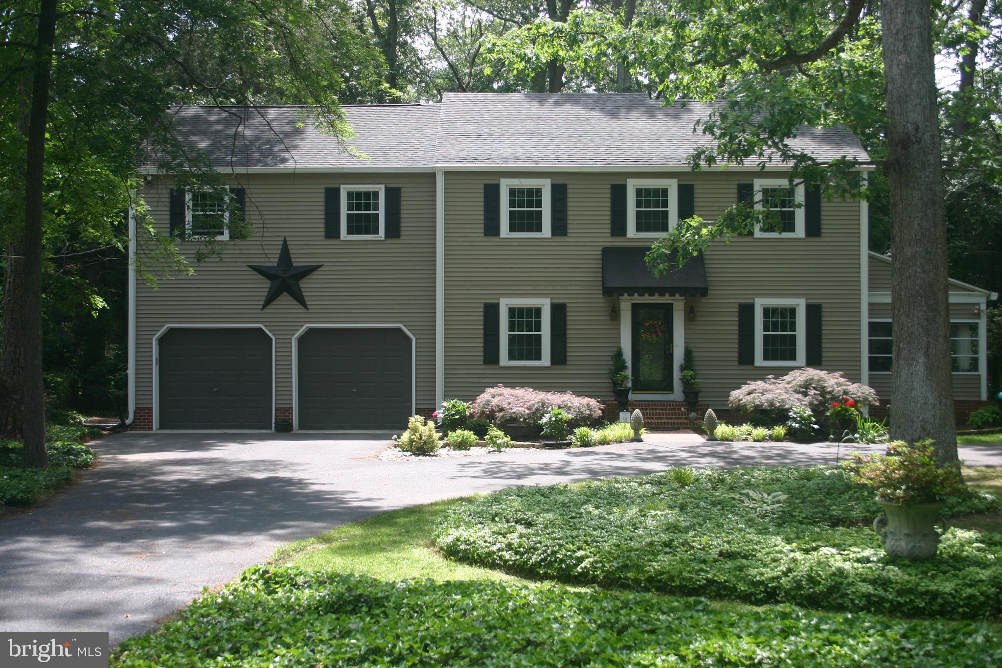 Front View