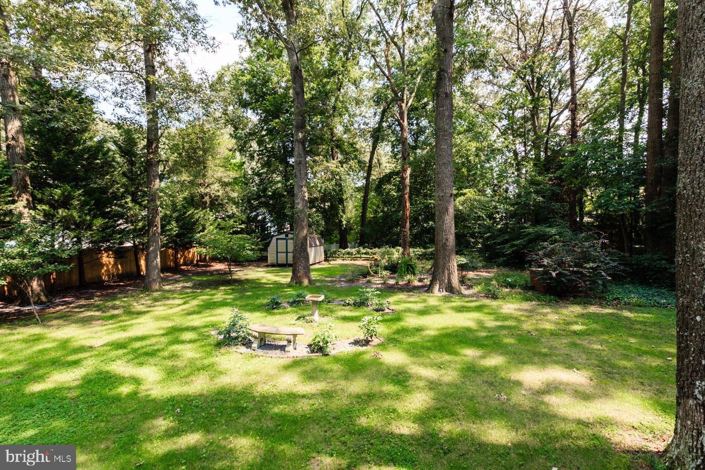 1503 Woodland Road Salisbury, MD 21801 - Photo 35 of 36 Fenced Back Yard