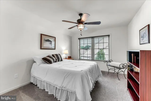 a bedroom with a bed a couch and a window