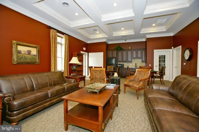 a view of a garden with plants and large trees