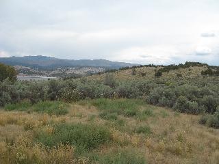 1001 Spring Creek Road Gypsum, CO 81637 - Photo 7 of 7 Additional Photo