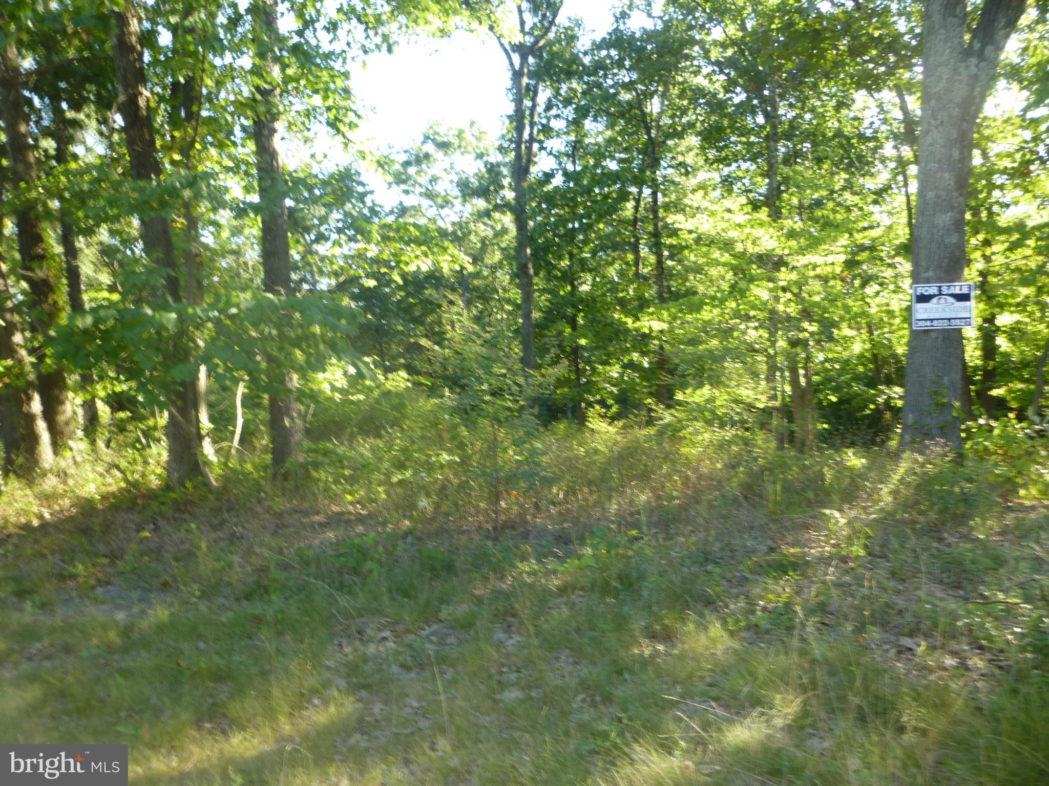 41 Redland Road Cross Junction, VA 22625 - Photo 3 of 10 Exterior (General)
