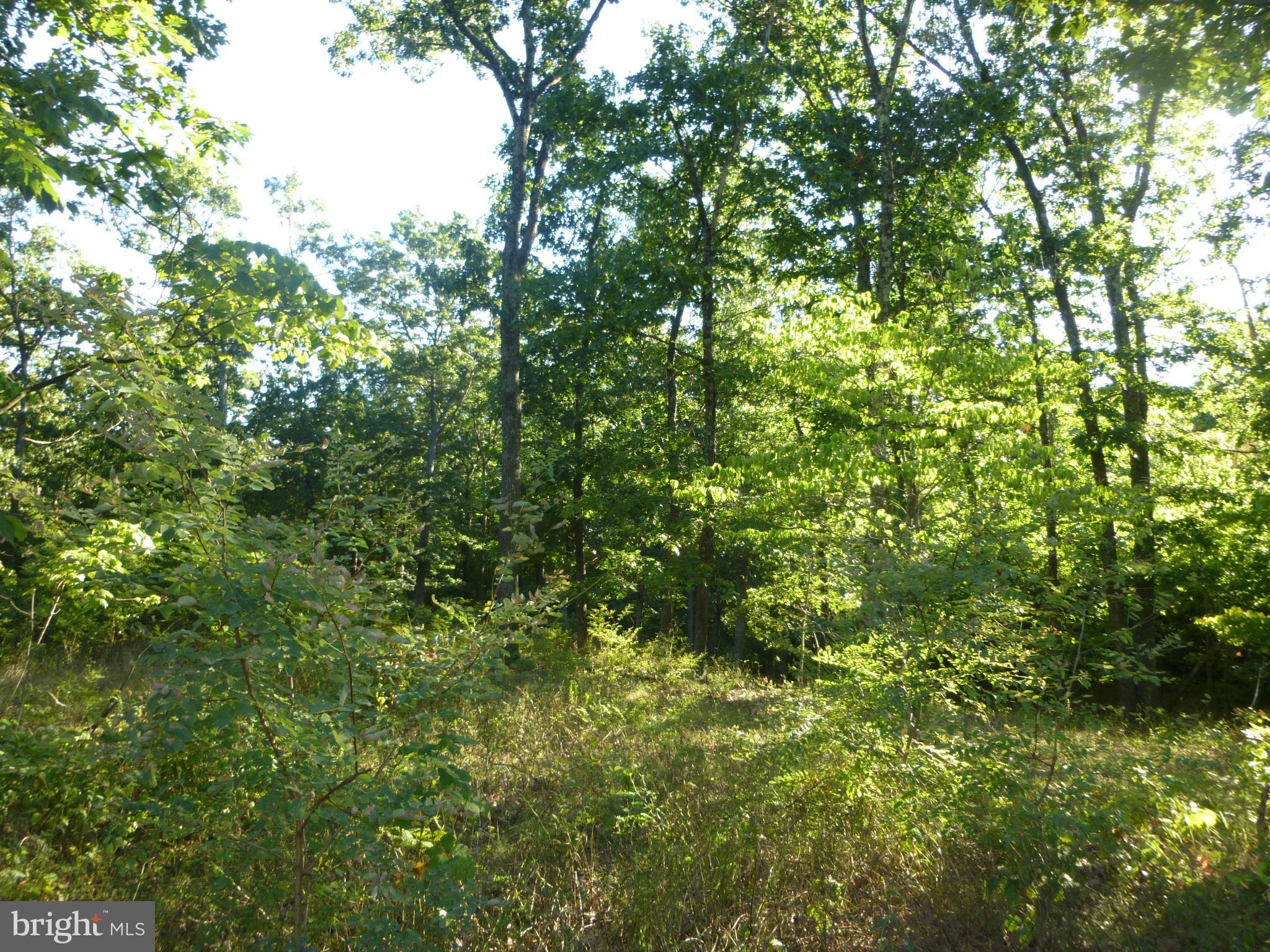 41 Redland Road Cross Junction, VA 22625 - Photo 4 of 10 View