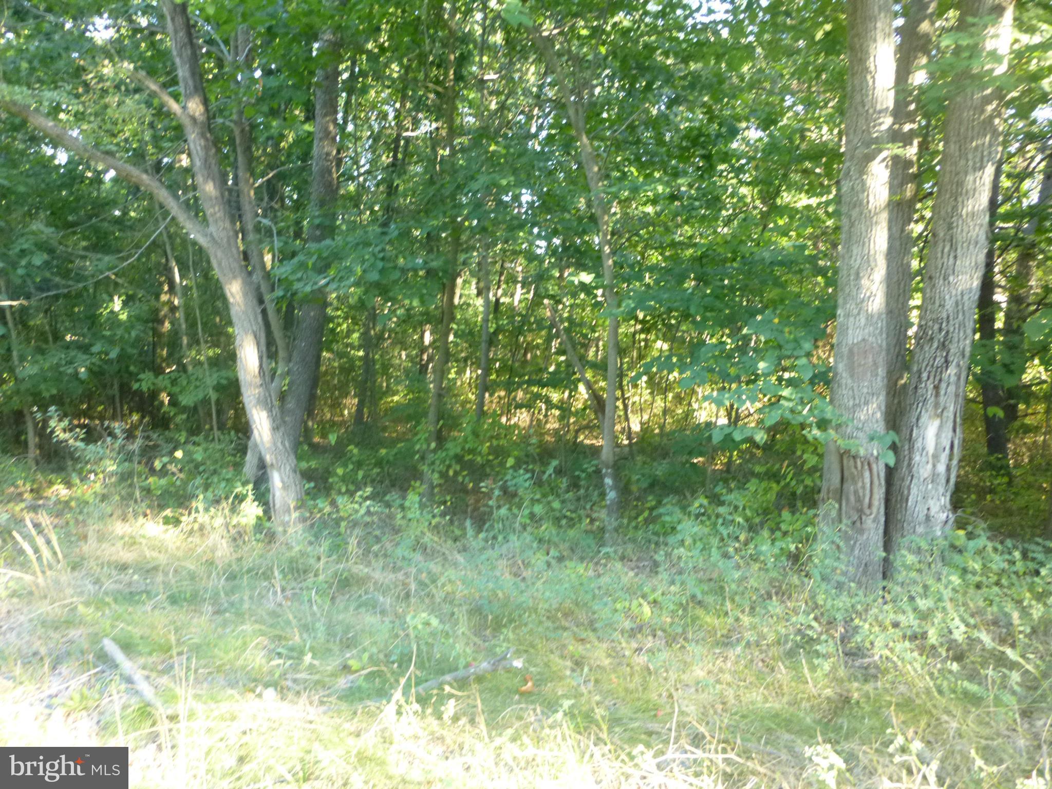 41 Redland Road Cross Junction, VA 22625 - Photo 7 of 10 Exterior (General)