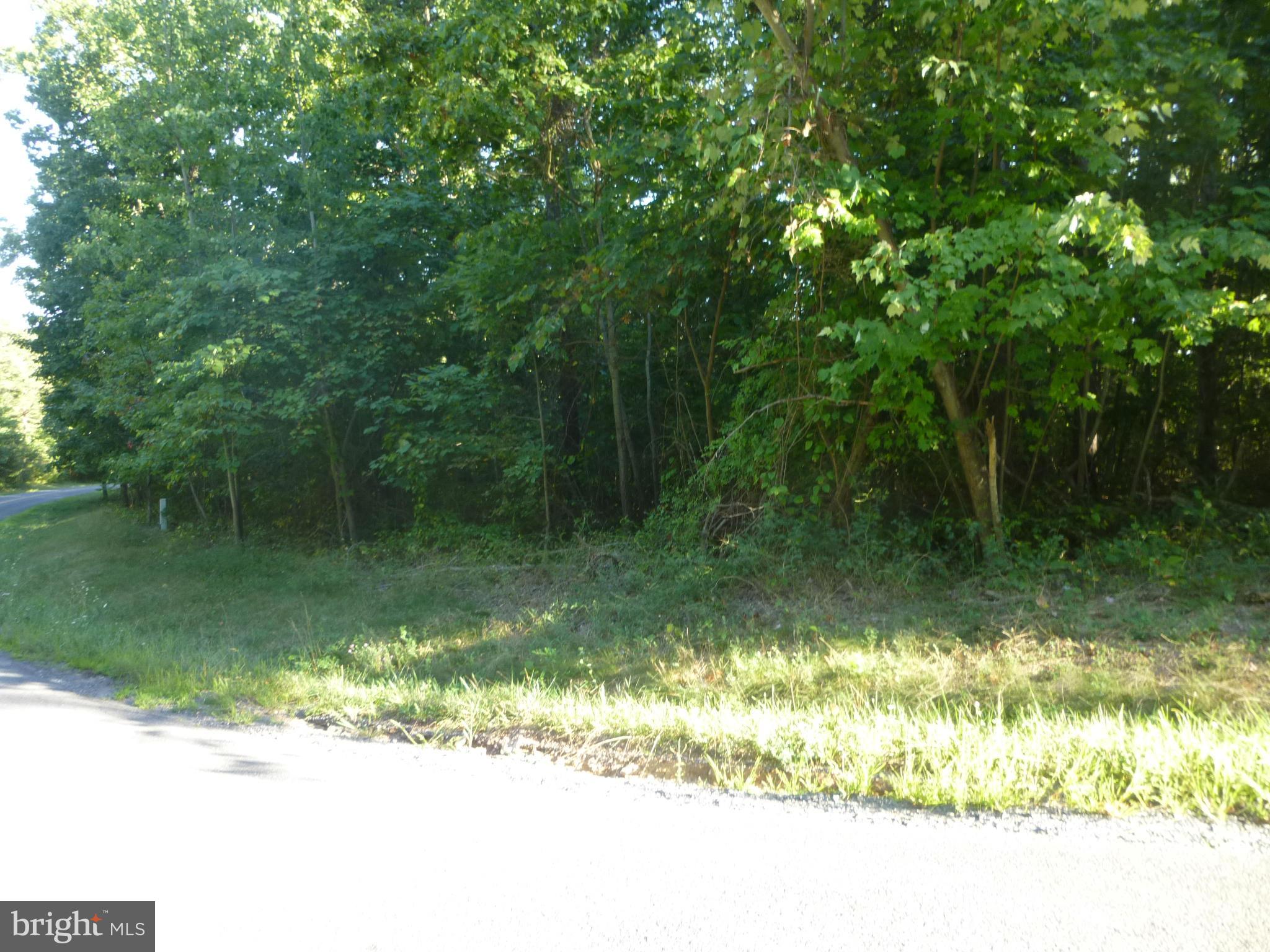 41 Redland Road Cross Junction, VA 22625 - Photo 8 of 10 Exterior (General)