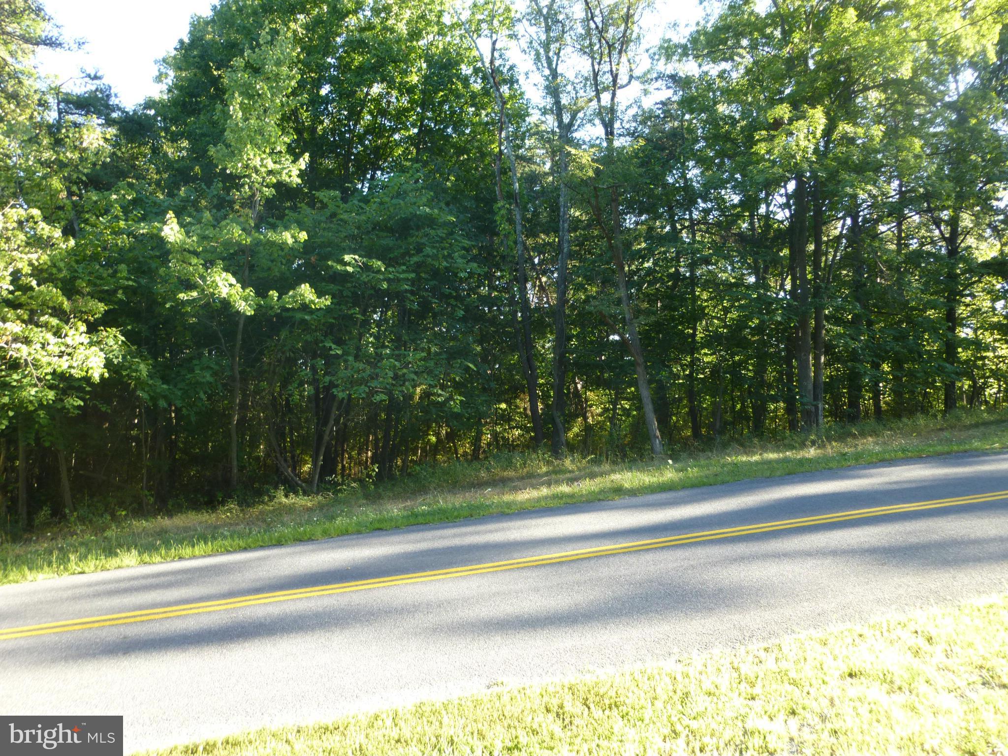 41 Redland Road Cross Junction, VA 22625 - Photo 9 of 10 Exterior (General)