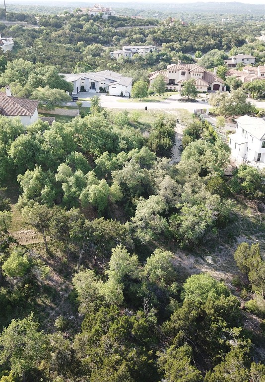 117 Brandon Way Austin, TX 78733 - Photo 5 of 13 Bird's eye view