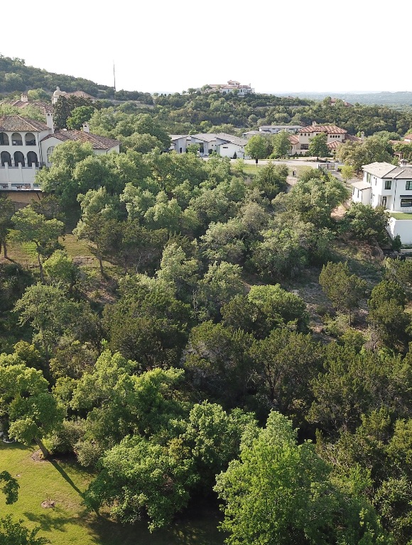 117 Brandon Way Austin, TX 78733 - Photo 7 of 13 Aerial view