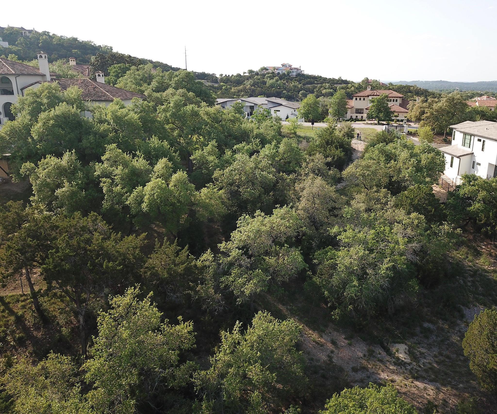 117 Brandon Way Austin, TX 78733 - Photo 8 of 13 an aerial view of residential house with outdoor space and trees all around
