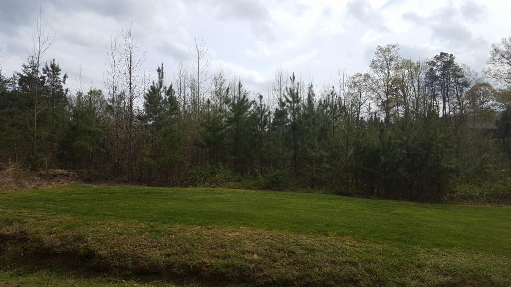 205 Pittman Road Dawsonville, GA 30534 - Photo 1 of 1 Gallery Image 1