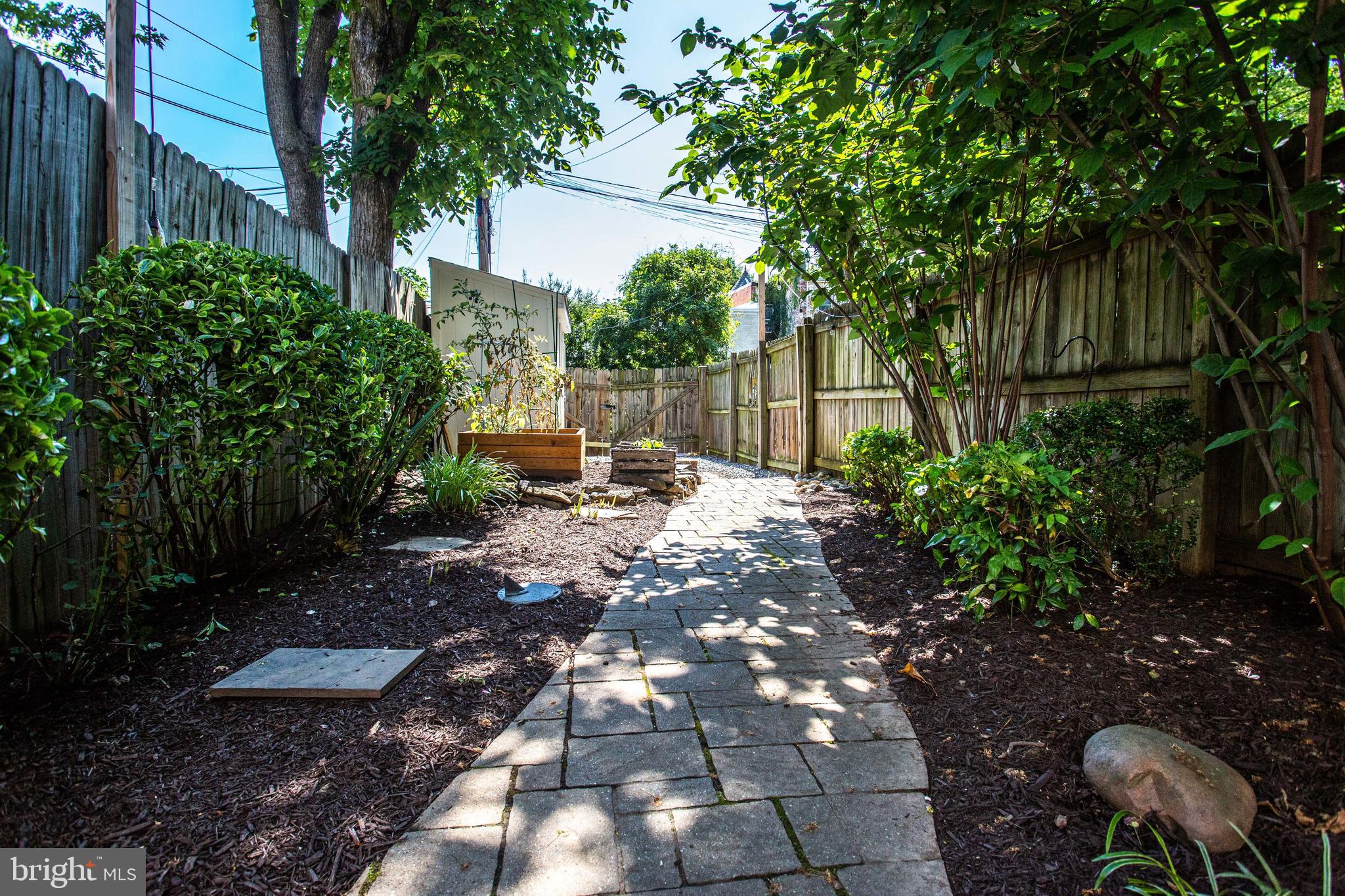 241 Warren Street Northeast Washington, DC 20002 - Photo 29 of 43 Backyard from huge patio edge to shed and PARKING