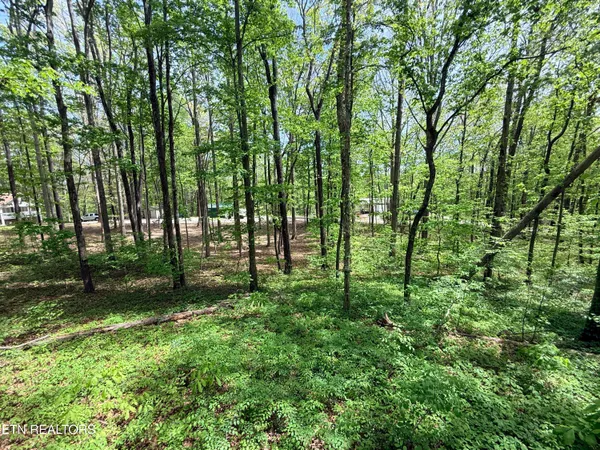 $259,900 | 549 Yellow Cliff Estates Road, Jamestown, TN 38556