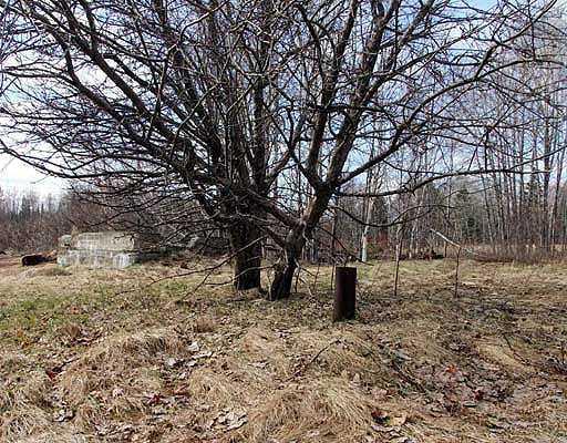 Lot 43 Highway 2 Lunenburg, VT 05906 - Photo 5 of 24 Other. Old Farm Buildings Setting....