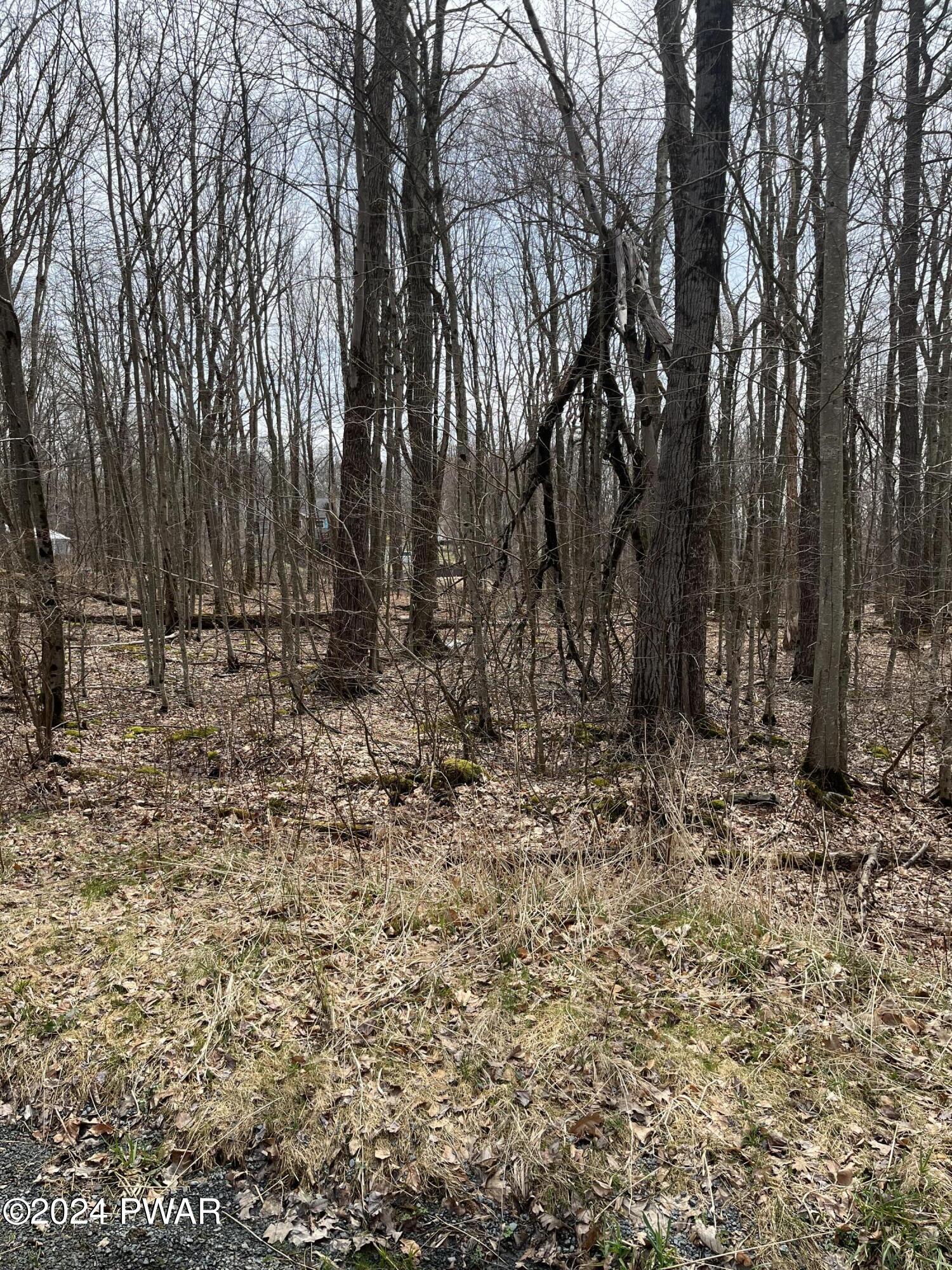 Lochinvar Road Greeley, PA 18425 - Photo 2 of 4