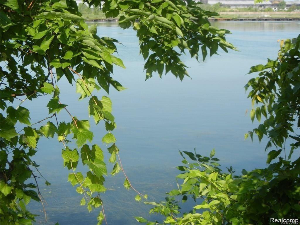 0 West River Road Trenton, MI 48183 - Photo 3 of 4