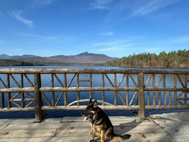 $225,000 | 17 Amidon Lane, Tamworth, NH 03886