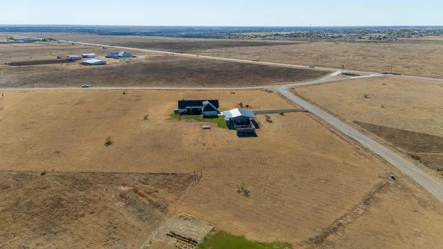 an ocean beach with large trees and lawn chairs