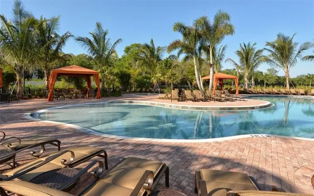 a view of a backyard with palm trees