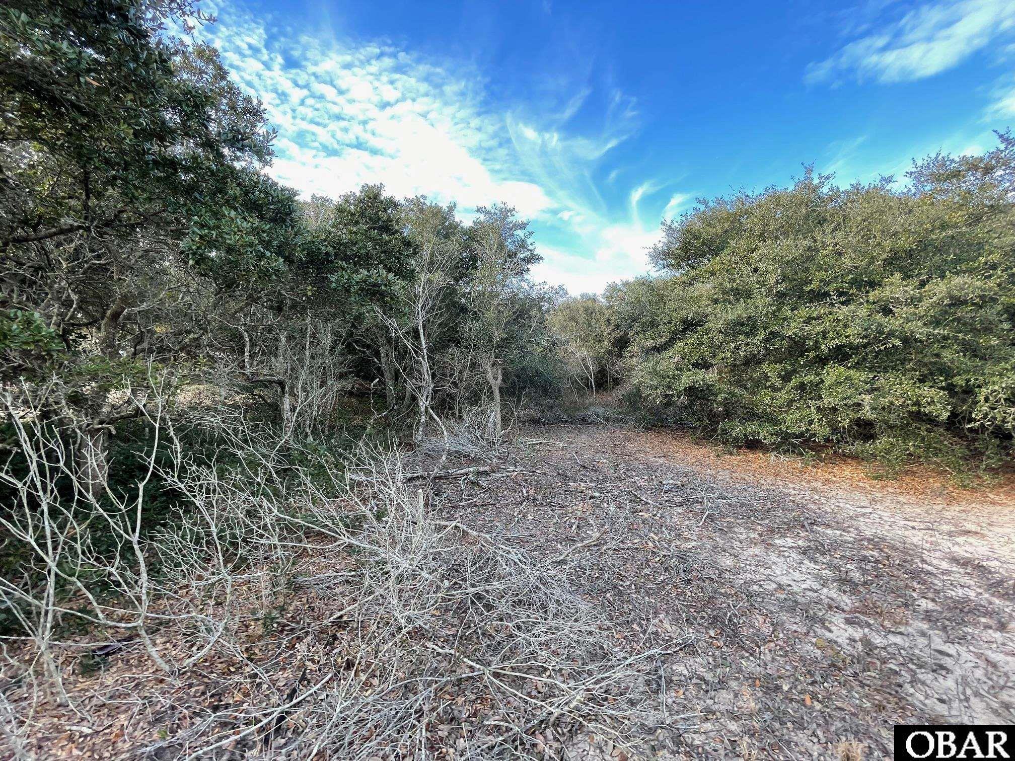 2194 Sandpiper Road Corolla, NC 27927 - Photo 10 of 12