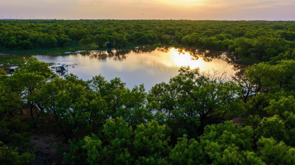 10000 Fm 209 Graham, TX 76450 - Photo 5 of 40