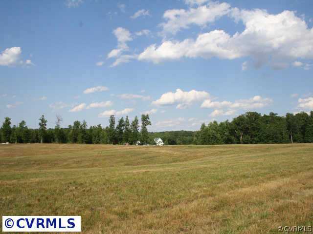 2 Jenkins Ridge Road Cartersville, VA 23027 - Photo 3 of 6 Other - View of neighboring farm
