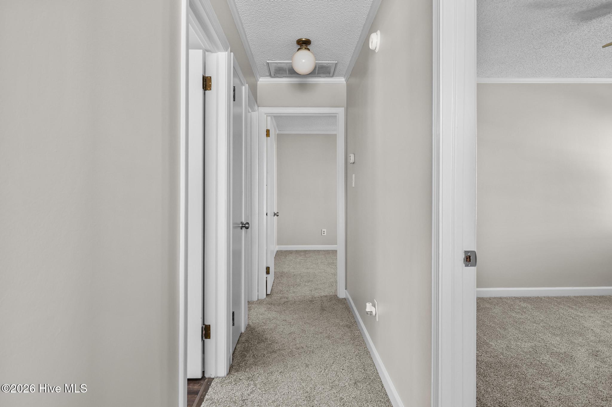 1039 Consolidated Road Elizabeth City, NC 27909 - Photo 34 of 49 upstairs hallway